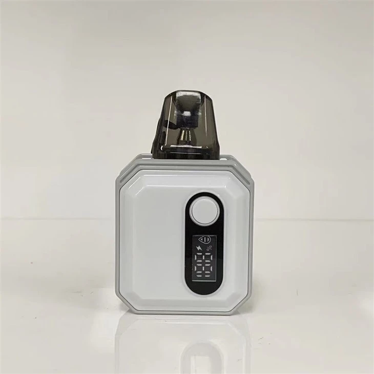 Empty Custom Disposable Vape Pod
