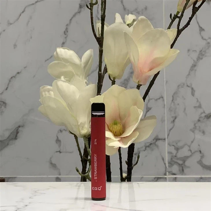 Hot Selling 600 Puffs Disposable Vape