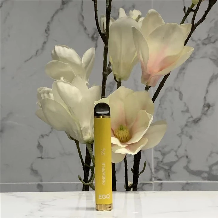 New Fashion Portable Frott Flavor Disposable Vape