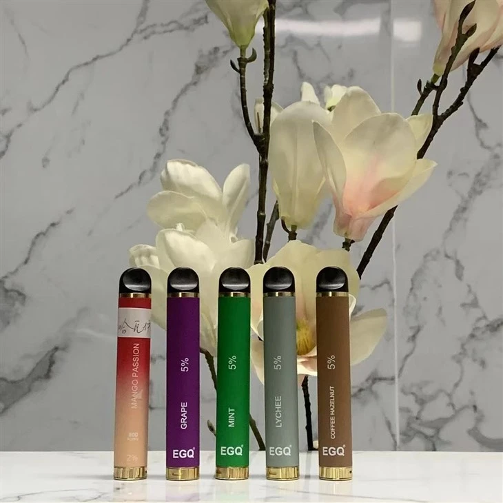New Fashion Portable Fruit Flavor Disposable Vape