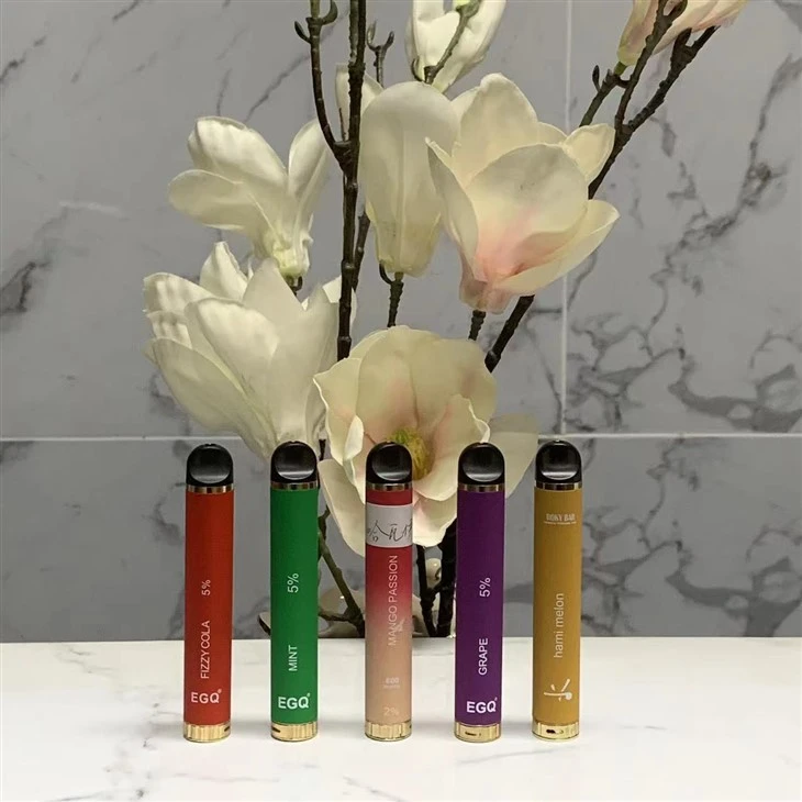 New Fashion Portable Fruit Flavor Disposable Vape