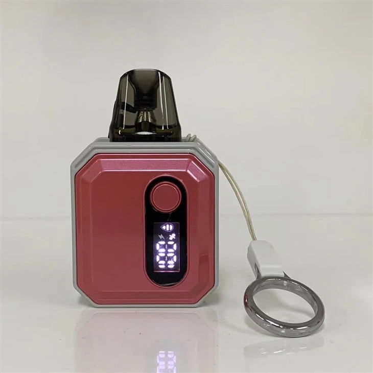 OEM/ODM 2024 Popular 600 Puffs Wholesale Vape Pod
