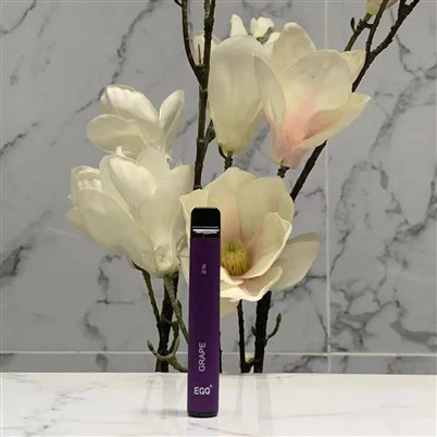 Vape Disposable B'600 Puffs